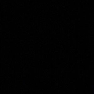 Meet your Posher, Belle